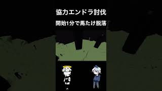 右左どっち？選んだ装備で協力してエンドラ討伐【マイクラ/ふれ〜く・うまたけ編】