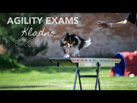 Agility trojzkoušky - Kladno 6.8. 2022