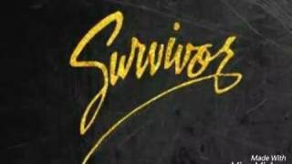 Survivor - Missing Persons