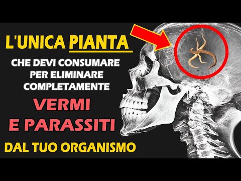 Just 2 Spoons... Eliminate All Worms and Parasites From Your Body