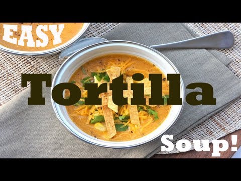 Blendtec - EASY Tortilla Soup!!