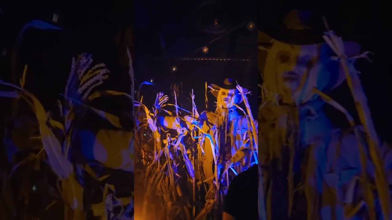 Thanks Shudder for having me at the Clown In A Cornfield #ClownExperience at #SDCC - YouTube