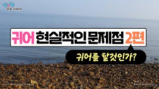귀어에서 가장 현실적인문제점 2편 - 귀어를 할것인가 말것인가?