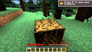 Minecraft Penis Fail Letsplay Fail