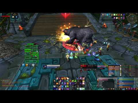 Zul'Aman - Full clear + Bear Run - Holy Priest PoV