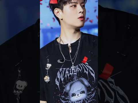 🐶❤️Seungmin#Stray Kids#Szk#k-pop🐶❤️
