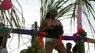 preview picture of video 'Kachondas nenas en el Paseo del Carnaval Tlacojalpan 2009'