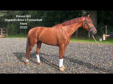 Ponovi I&S (v. Asgard’s Ibiza)