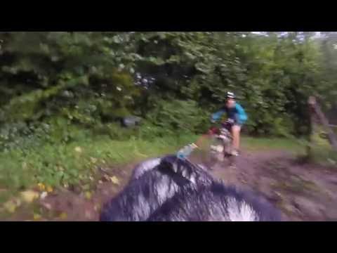 WESTOUTER - HEUVELAND