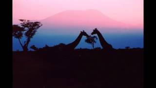 THE RIPPINGTONS - Kilimanjaro