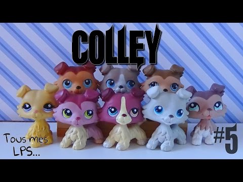 download lagu mp3 mp4 Petshop Colley, download mp3 Petshop Colley free downloadn, video klip Petshop Colley