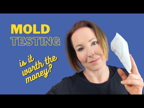 Air Quality Testing For Mold: a waste of money or a lifesaver?