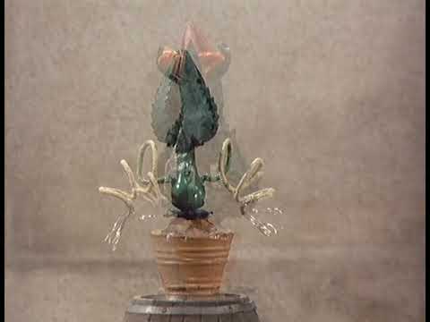 Jája a Pája - Jak pěstovali kaktus (S01E06)