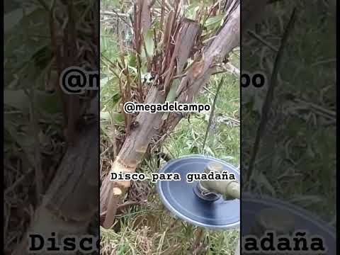 Disco diente de motosierra, para guadaña ⚙️ 3016576451 📲 Pamplona, Norte de Santander 📍🇨🇴