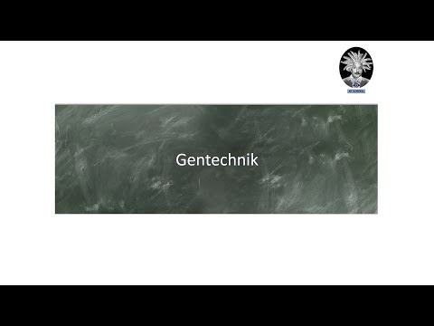 Gentechnik | iGEM at school IV