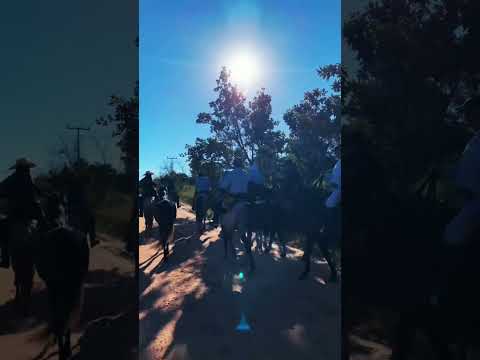 PARTE - 5 - PREPARAÇÃO PARA CAVALGADA JALAPÃO ENTRE SÃO FÉLIX TOCANTINS A MATEIROS.