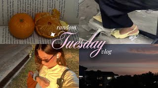 random tuesday vlog! ౨ৎ