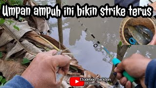 Download lagu Umpan ini ternyata ampuh untuk mancing ikan lele lokal mp3
