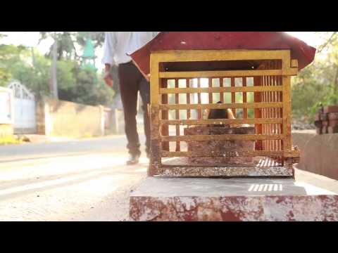 vasanth srijan Shortfilm