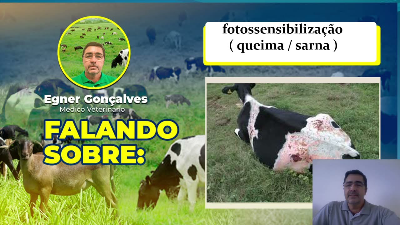 Fotossensibilização