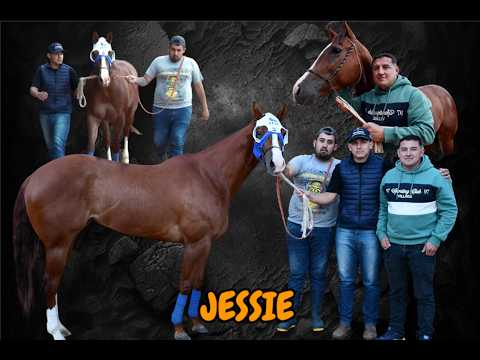 JESSIE - LA PREVIA - COPA CHALLENGER. LA DIOSA, TRES ISLETAS, CHACO