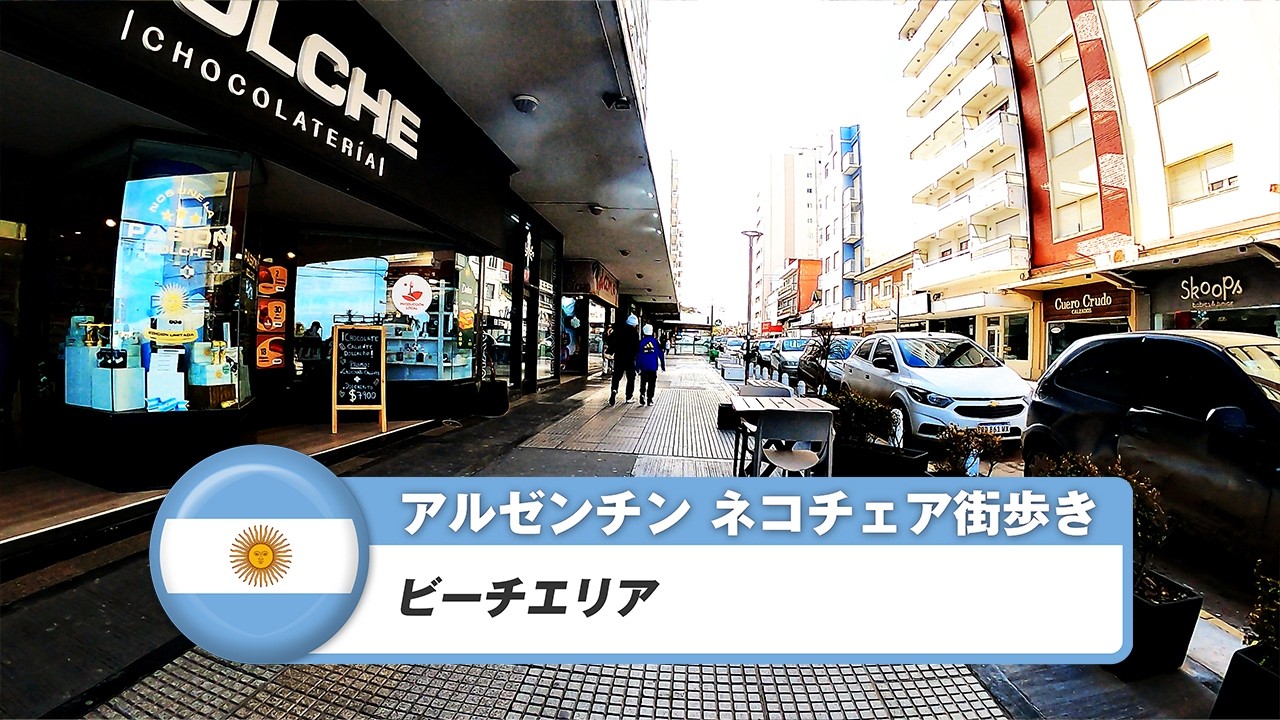 【アルゼンチン】ネコチェア④ビーチエリア