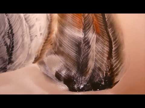 Anne Pantillon & Luca Forcucci_performance 14 11 2019   HD 720p