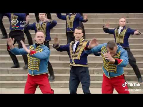 MEMORIA AETERNA: Éljen a magyar szabadság! - Toborzó