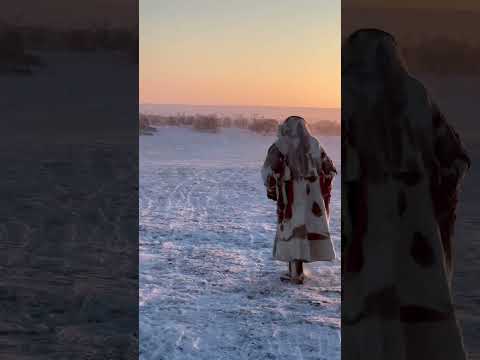 Amazing Migrations Nenet Reindeer Herders ✨❄️✨ Nomadic People Arctic ✨ #shorts #nomads