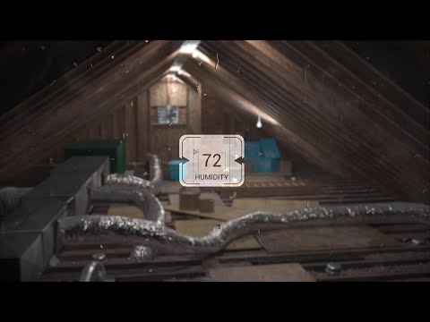 Mold in the Attic