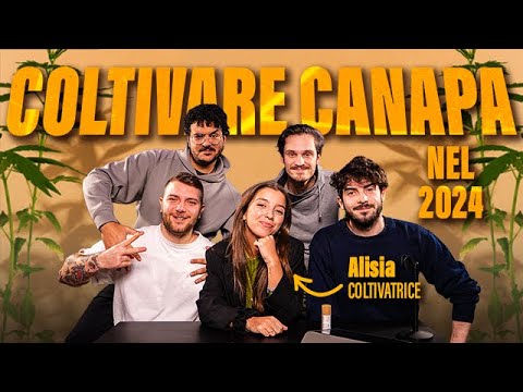 Coltivare CANAPA nel 2024
