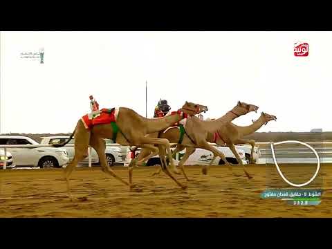   ش 8 مهم لـ بندر عاطي الرفاعي الجهني 4:54:72 ، كأس الاتحاد السعودي 2026/10/01  الطايف حقايق 