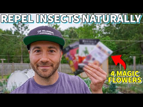 4 Flowers That REPEL INSECT PESTS I'm Planting NOW [And 1 To Avoid]