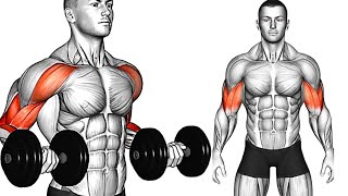 Great exercises to bulk up and increase strength in the arms