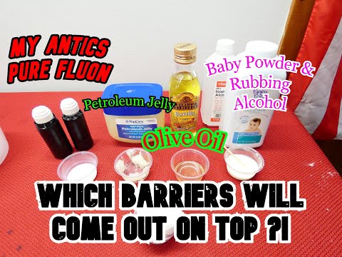 Stop Ants From Escaping!