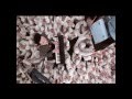 Mute Math unreleased music video for  "Control"