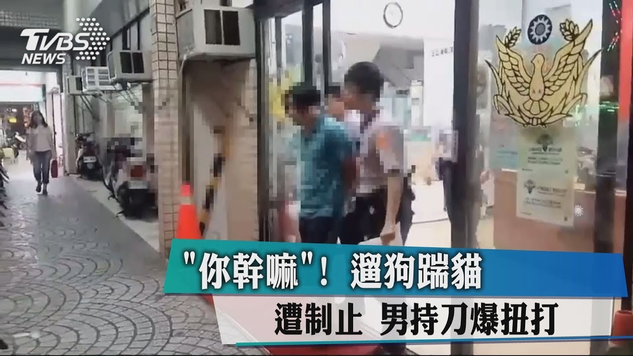 你幹嘛!遛狗踹貓遭制止 男持刀爆扭打