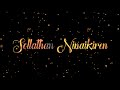 Sollathan Ninaikiren Lyrics Video Song Tamilzeromusic SollathanNinaikiren