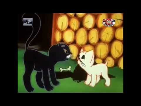 Przygody Kota Filemona - Poczekaj Bonifacy