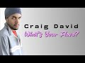 Craig David  - 𝙒𝙝𝙖𝙩'𝙨 𝙔𝙤𝙪𝙧 𝙁𝙡𝙖𝙫𝙖? (Lyrics)