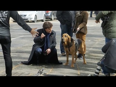 Filming With The Dog | Sherlock