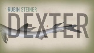 Rubin Steiner - Dexter (Official Video)