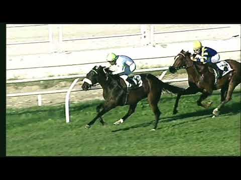 Napoli Galoppo 29/10/2022 - 5ª corsa