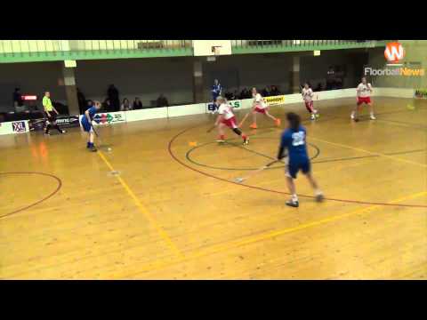 Rigas Lauvas - LiepU 8:5 (26.01.2014)