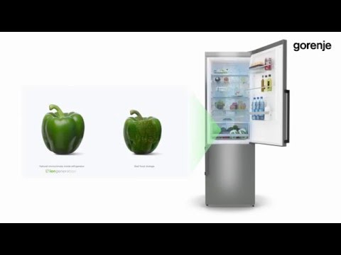 Холодильник Gorenje N619EAXL4