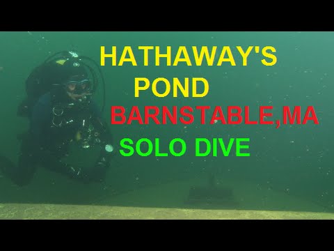 download lagu mp3 mp4 Dive Shop Hyannis, download lagu Dive Shop Hyannis gratis, unduh video klip Dive Shop Hyannis