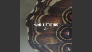 Cover art for Numb Little Bug