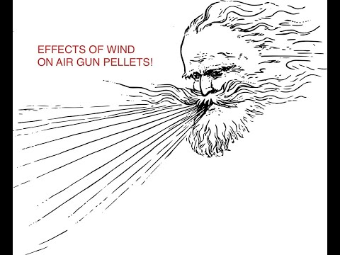 EFFECTS OF WIND ON AIR GUN PELLETS