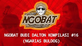 Download lagu STORY WA | NGOBAT BUDI DALTON | KOMPILASI 16 (NGARIAS BULDOG) mp3