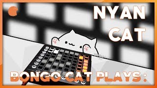 Bongo Cat Plays LaunchPad : Nyan Cat